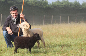 Photo de l'entreprise Les Moutons Urbains, éco-pâturage