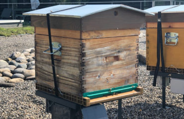 Photo de l'entreprise Bekeeper, ruches en entreprise